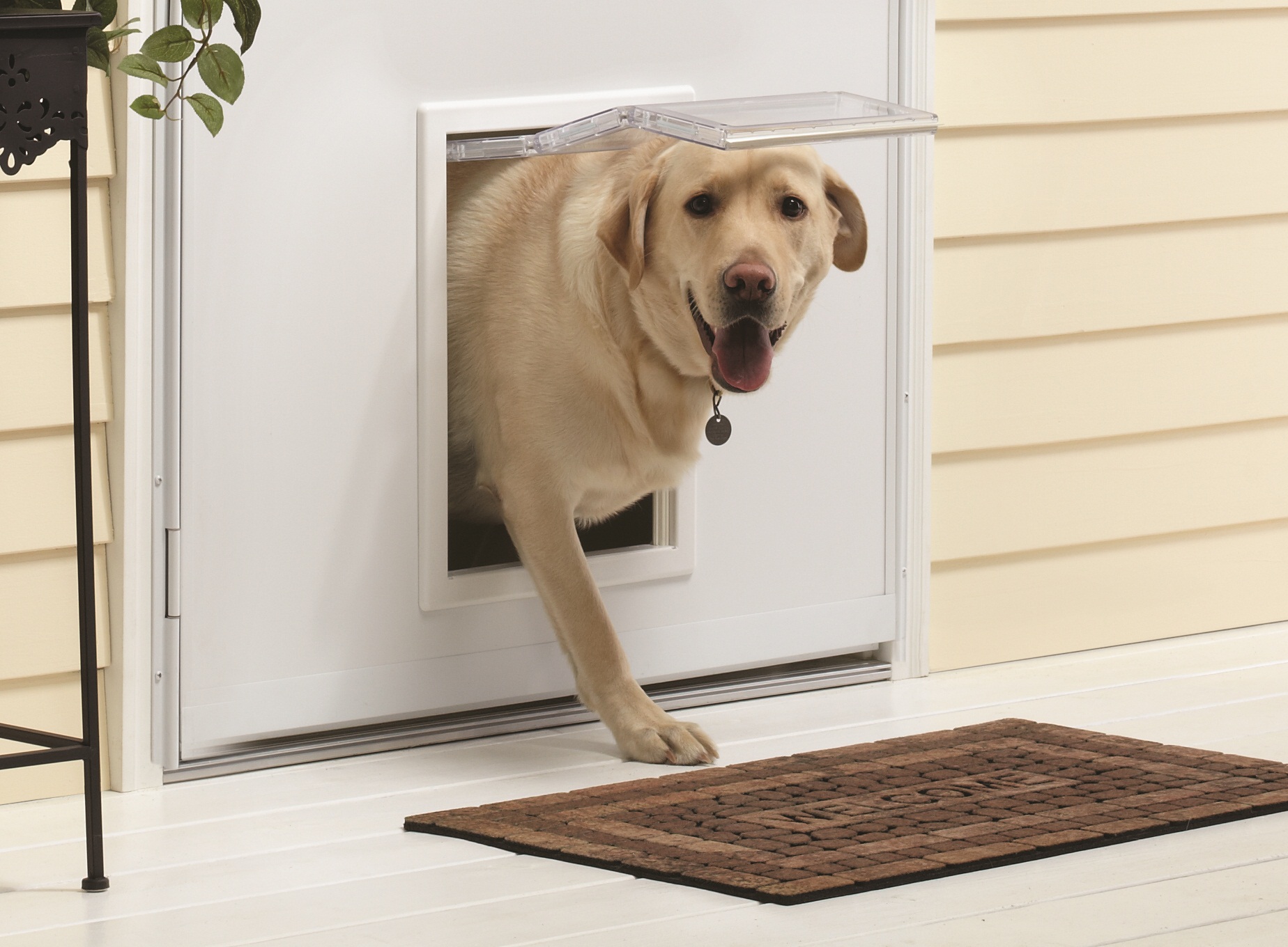 Andersen storm door on sale with pet door